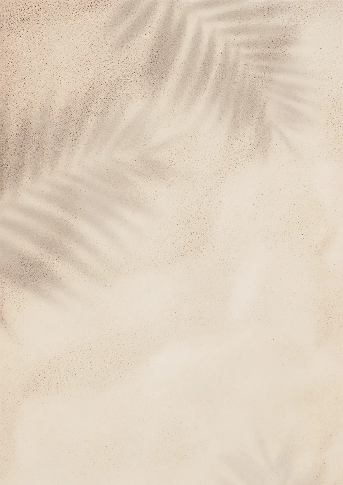 summer feeling wall with palm shadows